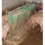 Кормушки для откорма свиней