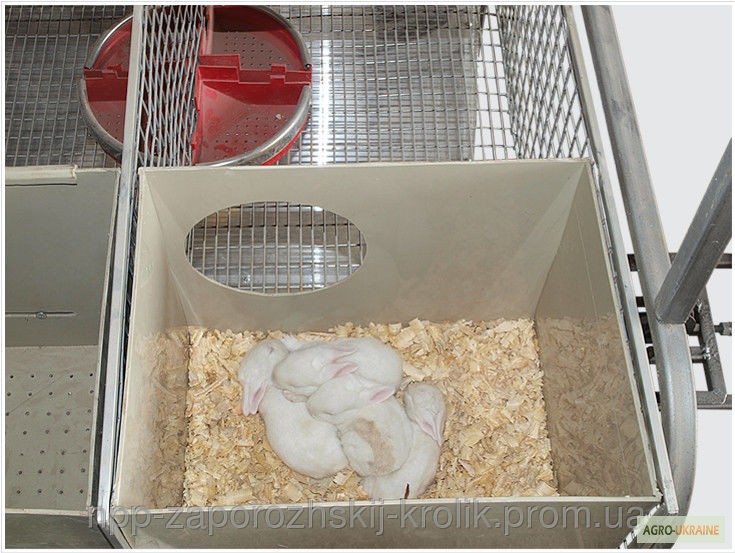 Фото 4. Клетки для кроликов