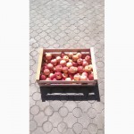 Ящик для сбора и хранения яблок