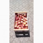 Ящик для сбора и хранения яблок