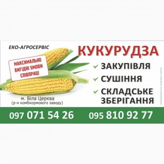 Сушіння кукурудзи 90 грн, 1т% Самовивіз