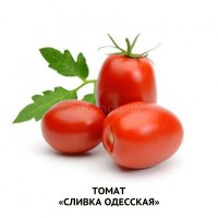 Насіння томатів «СЛИВКА ОДЕСЬКА»- 20 нас