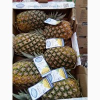 Продаем ананасы (Коста-Рика, Колумбия) оптом, мелким оптом