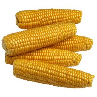 Продаем кукурузу