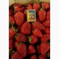 Продам клубнику ягоды малина черешня