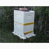 Улья для пчел, оптом и в розницу, пчелопакеты, пчелосемьи