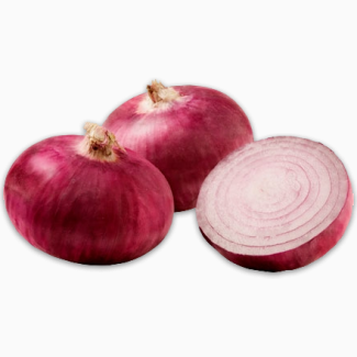 Fresh Red and Yellow onions for sale