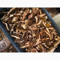 Продам сушені ПОЛЬСЬКІ гриби