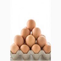 Реализуем инкубационные яйца кобб-500
