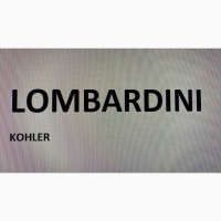 Запчастини до двигунів Lombardini LDW 2204 (МТЗ-422)