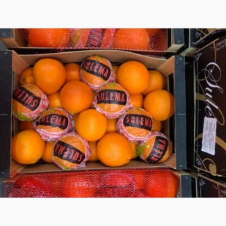 Продам апельсини ІСПАНІЯ