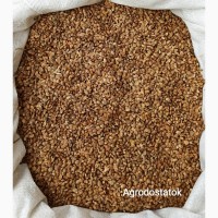 Семена Эспарцета от 5 кг. Сорт Песчаный