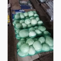Продам білокачанну капусту, відмінної якості