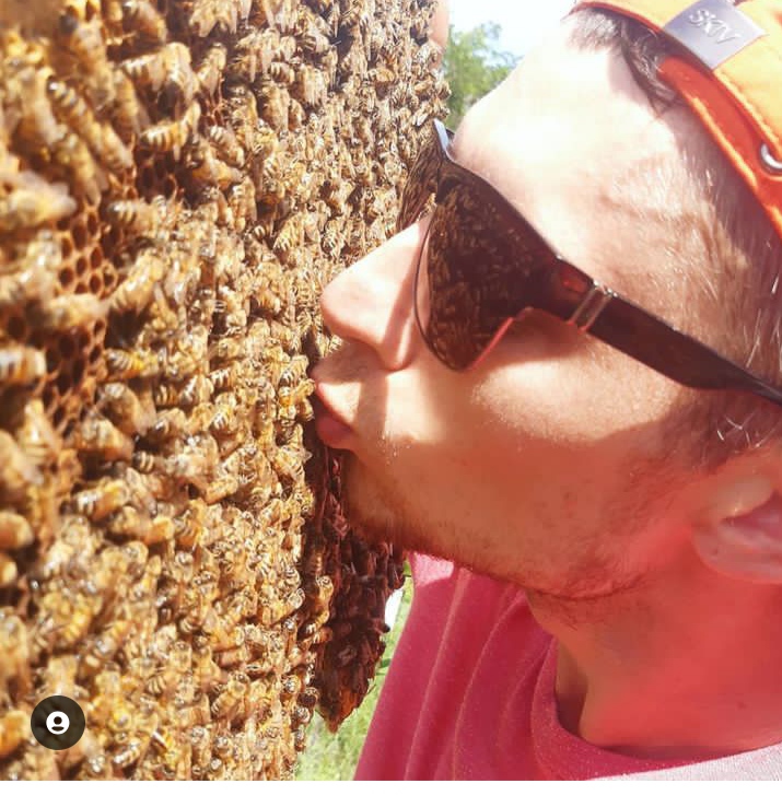 Фото 6. Продам бджоломаток породи Бакфаст