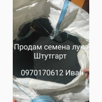 Продам семена лука Штутгарт