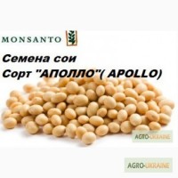 Продам насіння сої Aполло RR2