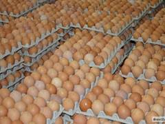 Фото 2. Продам яйцо куриное столовое крупное, отборное, С-1, коричневое и белое мелким оптом от 5