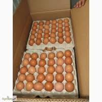 Фото 3. Продам яйцо куриное столовое крупное, отборное, С-1, коричневое и белое мелким оптом от 5