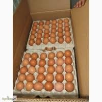 Продам яйцо куриное столовое крупное, отборное, С-1, коричневое и белое мелким оптом от 5