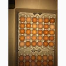 Фото 5. Продам яйцо куриное столовое крупное, отборное, С-1, коричневое и белое мелким оптом от 5