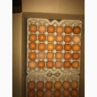Продам яйцо куриное столовое крупное, отборное, С-1, коричневое и белое мелким оптом от 5