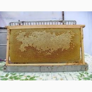 Продам сушь пчелинную на рамки 300, 230, 145