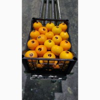 Продам Апельсин ЮАР и лимон Аргентина