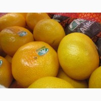 Продам Апельсин ЮАР и лимон Аргентина