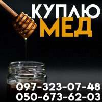 Куплю мед ОПТОМ у Вінницькій обл