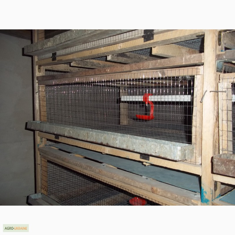 Фото 5. Продам клетки для перевозки подрощеных цыплят, утят и др.