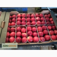 Продается Нектарин сорт персика.экспорт Испания