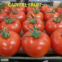 Продам оптом из Турции овощи и фрукты по низкой цене