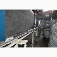 Маслоцех 20 тонн сутки с дожимными прессами и брикетированием и емкостями
