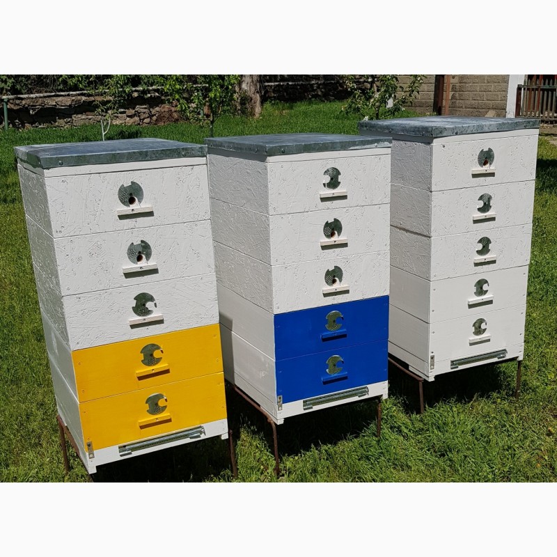 Фото 2. Продам улья для пчёл