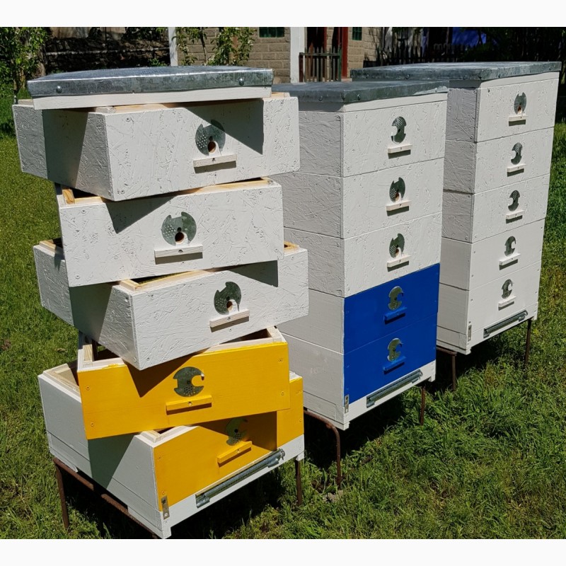 Фото 3. Продам улья для пчёл
