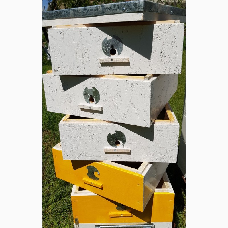 Фото 4. Продам улья для пчёл
