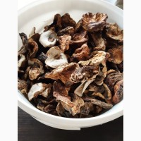 Продам сушеные белые грибы