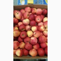 Продам яблука, виноград ОПТ з холодильника