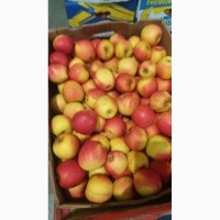 Продам яблука, виноград ОПТ з холодильника