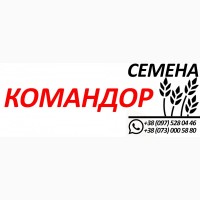 Ячмень Командор, 1 репродукция от производителя. Семена ярового ячменя 2020