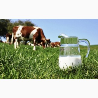 Продам фермерское молоко оптом на постоянной основе