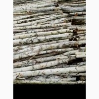 Продам дрова из берёзы