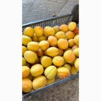Продам ананасовый абрикос
