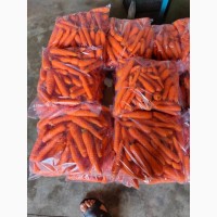 Продам молодую морковь сетевое качество