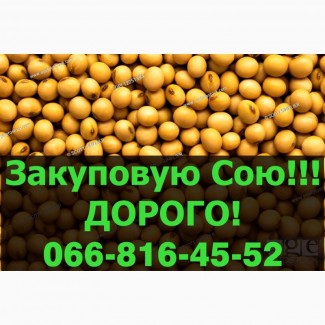 Закуповуємо СОЮ за високими цінами!Максимальні ціни, розрахунок на вагах