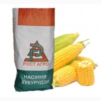 Семена кукурузы Альт ФАО 230 Рост Агро
