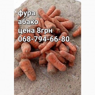 Продам морковь абако