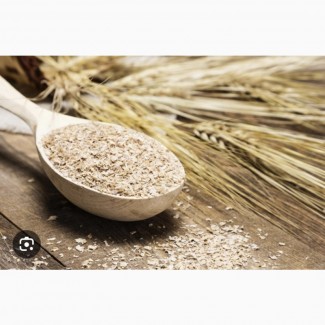Высевка пшеничная оптом от производителя