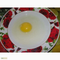 Продам яйца куриные фермерские, хорошее качество