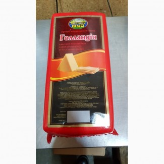 Продам сирний продукт Голландія 45% оптом